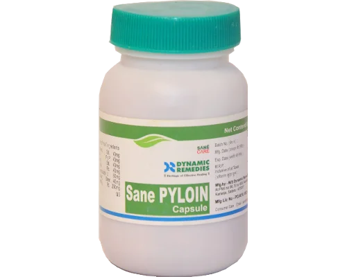 pyloin capsule arshodyn capsules 60tab upto 20% off dynamic remedies